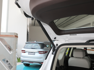 20191.5TD MHEV DCT g