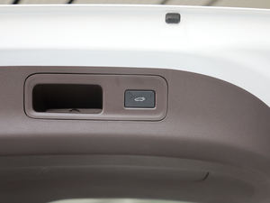 20191.5TD MHEV DCT g