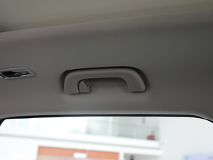 20191.5TD MHEV DCT g