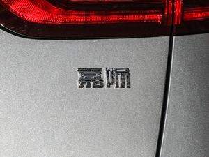 20191.5TD MHEV DCT ^