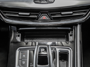 20191.5TD MHEV DCT g