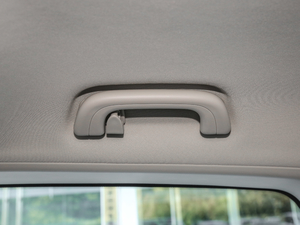 20191.5TD MHEV DCT g