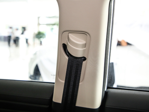 20201.8TD DCT4G g