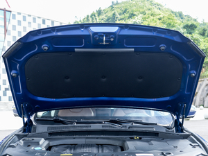 20201.8TD DCTI(lng)PRO 