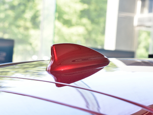 2019300T ҫ (x)(ji)^