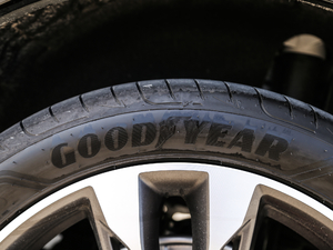 2019350T ҹTʿ ݆̥Ʒ