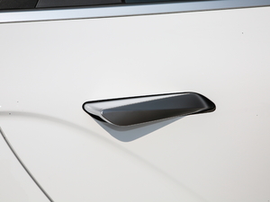 2019߾S(bio)(zhn)m(x)緽 (x)(ji)^