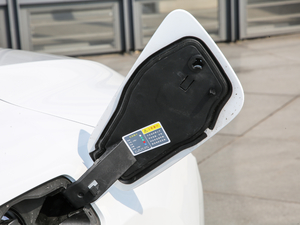 2019߾S(bio)(zhn)m(x)緽 (x)(ji)^