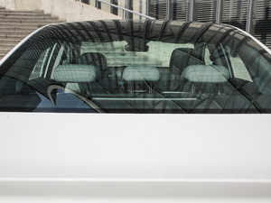 2019߾S(bio)(zhn)m(x)緽 (x)(ji)^