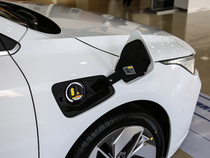 2019߾S(bio)(zhn)m(x)緽 (x)(ji)^