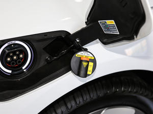 2019߾S(bio)(zhn)m(x)緽 (x)(ji)^