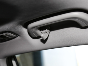 2019߾S(bio)(zhn)m(x)緽 g