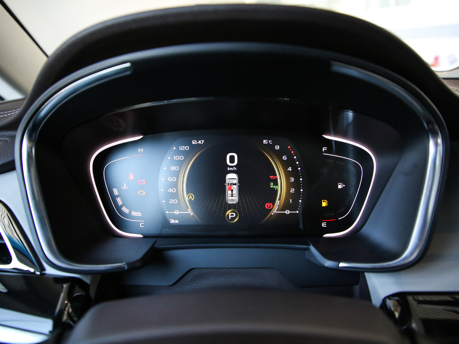 2019H 1.5TD MHEV DCT