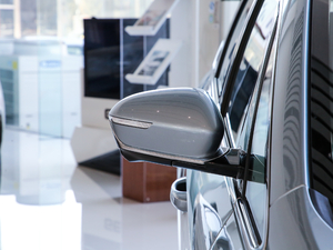 20191.5TD MHEV DCT (ji)^