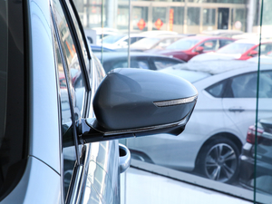 20191.5TD MHEV DCT (x)(ji)^