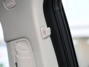 20191.5TD MHEV DCT g