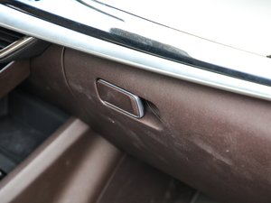 20191.5TD MHEV DCT g