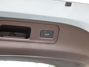 20191.5TD MHEV DCT g