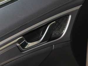 2019������� ���g����