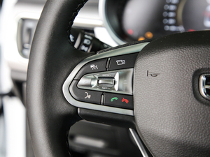 2019��1.5TD DCT���I�� �п؅^