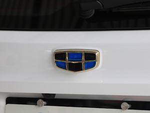 2019(j) 1.5L ք(dng)Ӣ (x)(ji)^