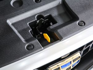 2019(j) 1.5L ք(dng)Ҹ 