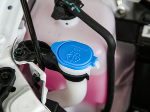 2019(j) 1.5L ք(dng)Ҹ 