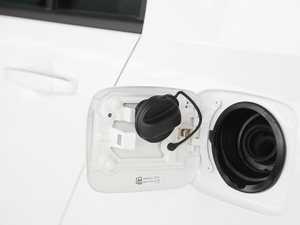 2019I܊ 1.5L քӺA ^