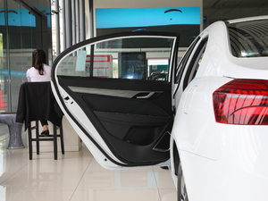 2019款领军版 1.5L 手动豪华型 左后车门