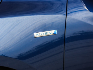 2019MHEV  1.5TD DCTF (x)(ji)^