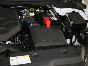 2020款1.4T CVT亚运型 其它