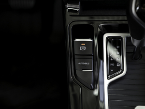 2020款1.5T DCT豪华型 驻车制动器