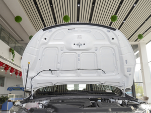 2020款1.4T 手动亚运型 其它