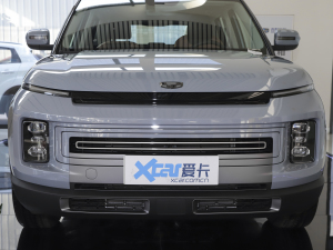 2020款1.5TD i6 中网