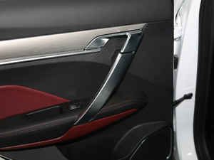 2020PRO 260T DCT Battle g