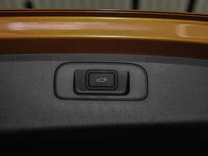 2020PRO 260T DCT Battle g