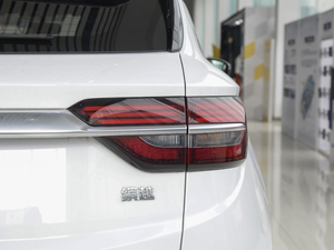 2020PRO 260T DCTTʿ β