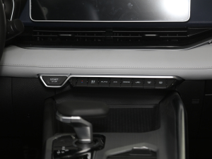 2021Ŀ 2.0TD F п؅^