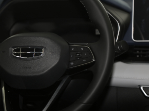 2021Ŀ 2.0TD F п؅^