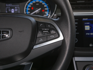 20201.5L CVTm {(dio)(ji)