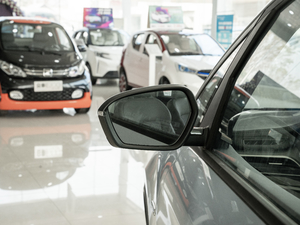 20211.5TD PHEV  (ji)^