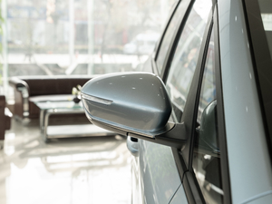 20211.5TD PHEV  (ji)^