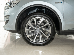 20211.5TD PHEV  (ji)^