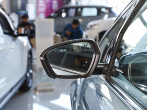 2021 1.5TD MHEV DCTF ^