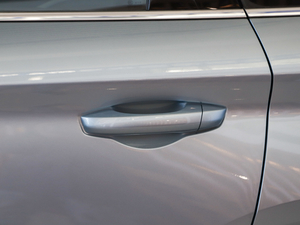 2021 1.5TD MHEV DCTF ^