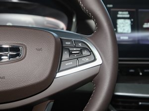 2021 1.5TD MHEV DCTF п؅^(q)