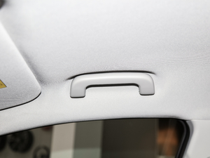 20211.5T ePro I(lng) g