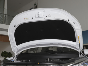 2020款1.5L 手动尊贵型 其它