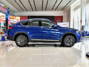 2021款ePro 揽星者 纯电动续航56KM 正侧（左）