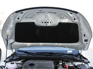 2021款基本型 其它